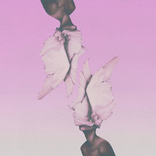Angel Numbers by Bleu Azur
