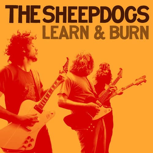 The One You Belong To by The Sheepdogs