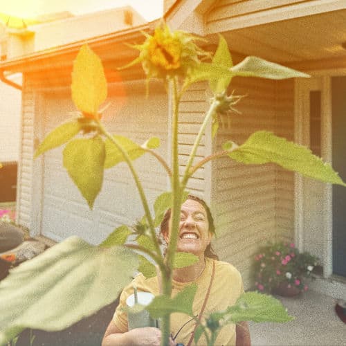 s u n u p by Atlas Devona