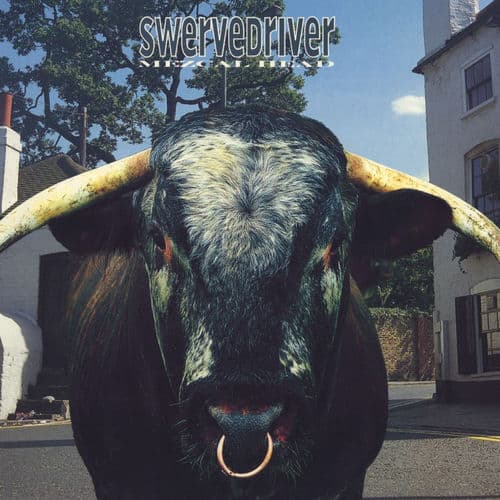 For Seeking Heat by Swervedriver