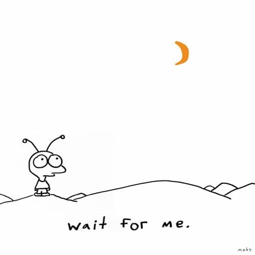 Wait For Me (Bonus Track Version) by Moby