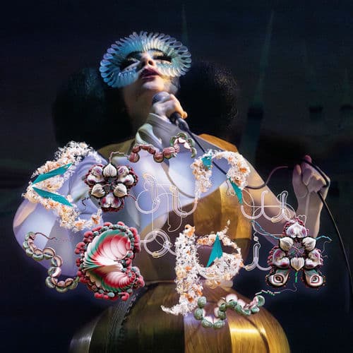 Cornucopia Live by Björk