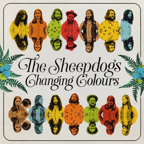 Nobody by The Sheepdogs
