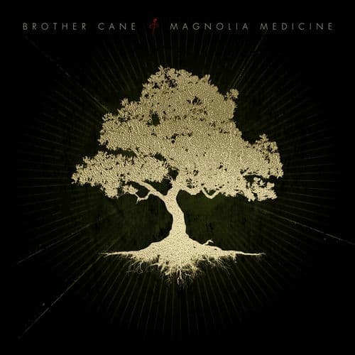 Magnolia Medicine by Brother Cane