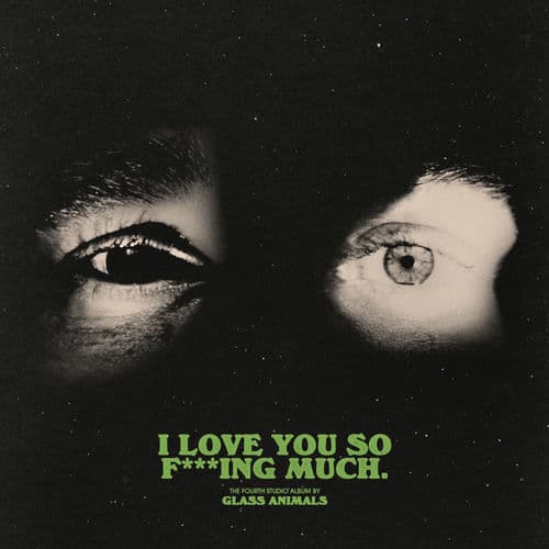 I Love You So F***ing Much by Glass Animals