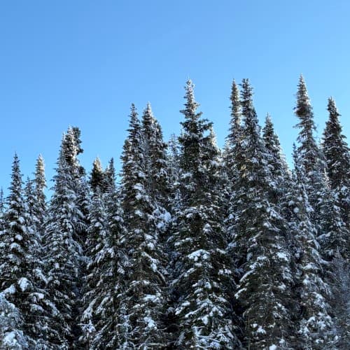 Arbee - 27 Février 2026