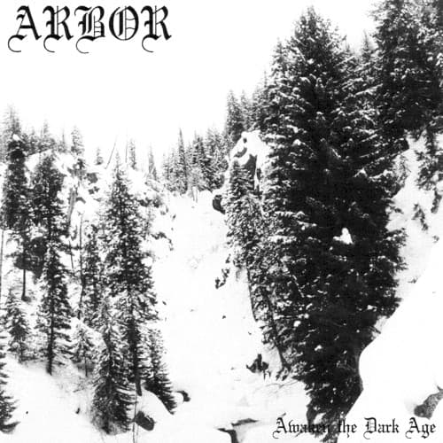 Awaken the Dark Age by Arbor