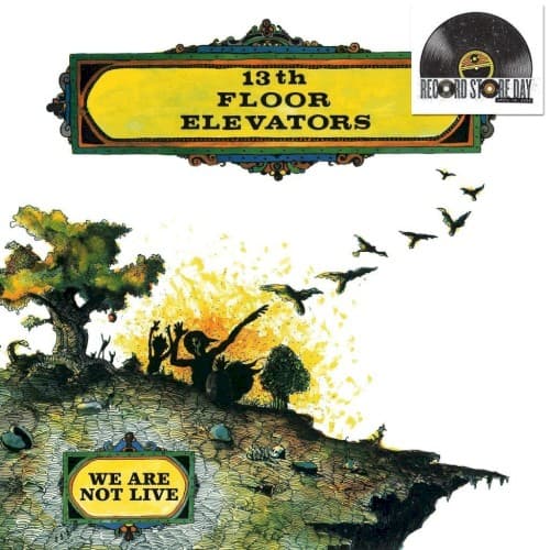 We Are Not Live by 13th Floor Elevators