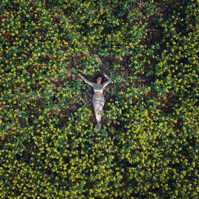 In the Leaves by Lyrah