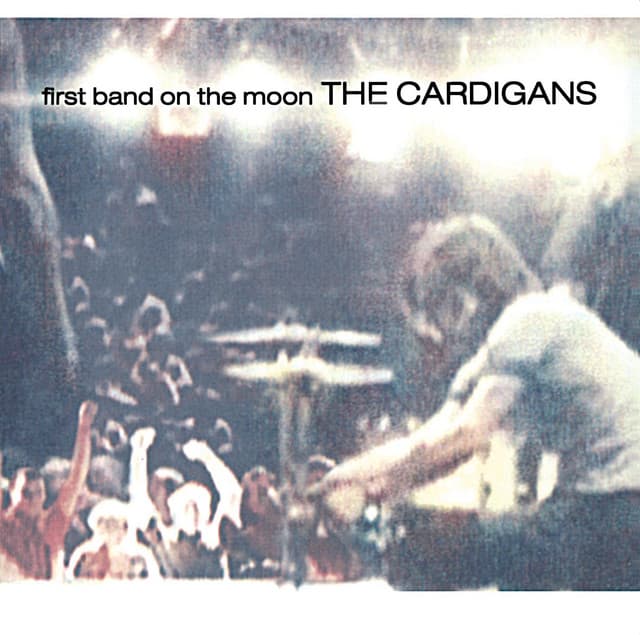 Lovefool by The Cardigans