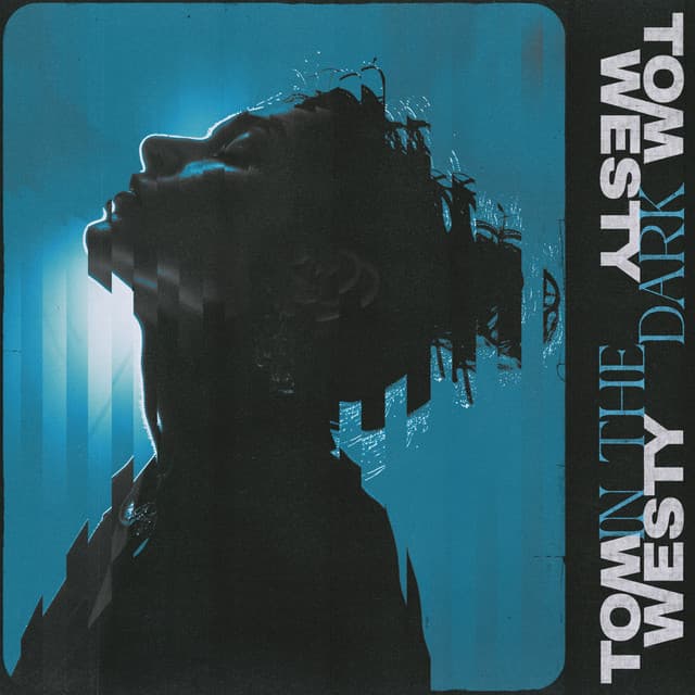 In the Dark by Tom Westy