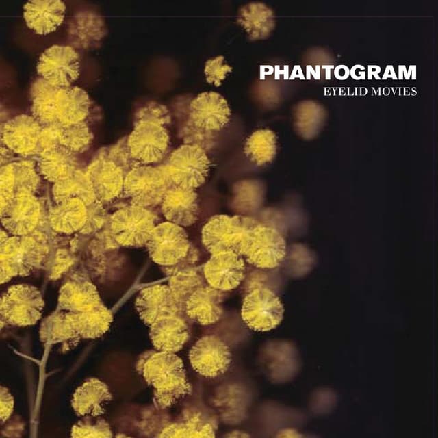 When I'm Small by Phantogram