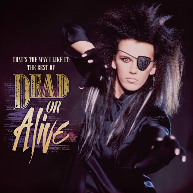 You Spin Me Right Round by Dead Or Alive