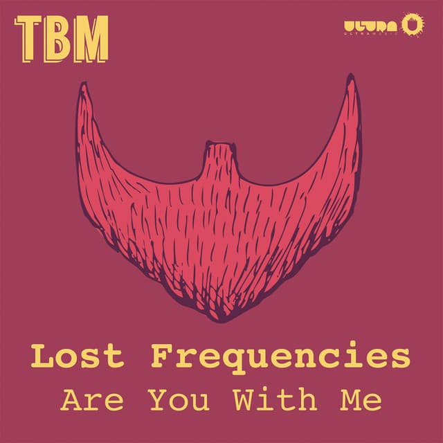 Are You With Me by Lost Frequencies