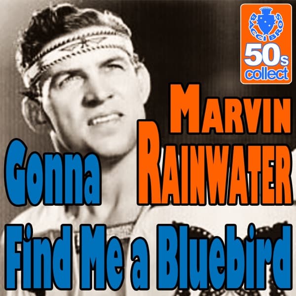 Mr. Blues by Marvin Rainwater