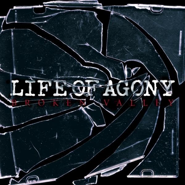 Love to Let You Down by Life of Agony