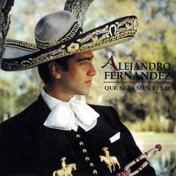Como Quien Pierde una Estrella by Alejandro Fernández