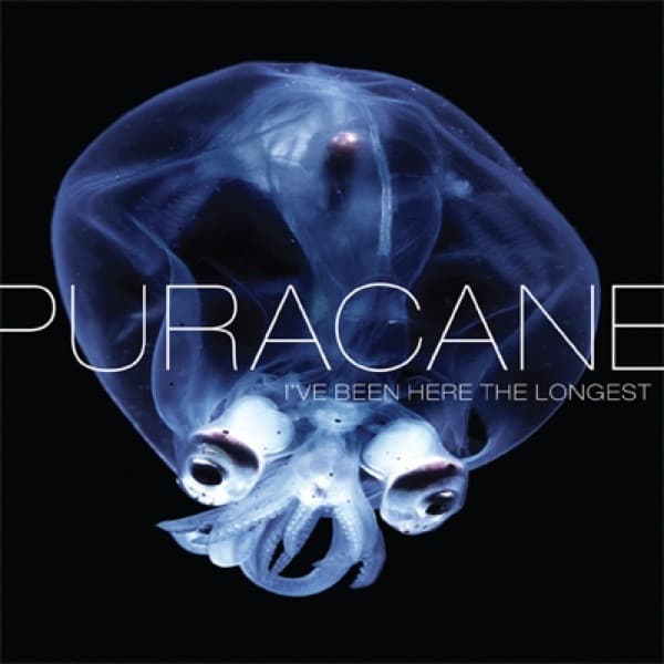 all over now by Puracane