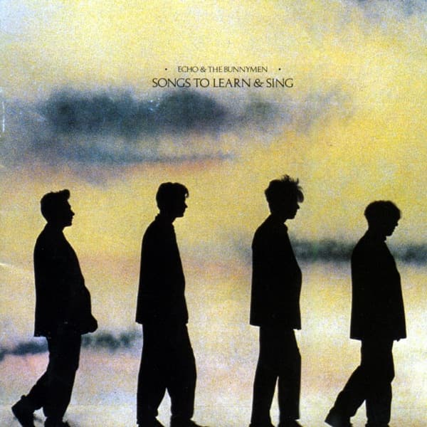 Bring On The Dancing Horses by Echo & the Bunnymen