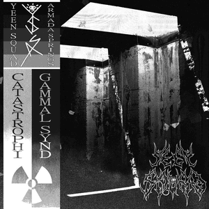 Gammal Synd by Catastrophi