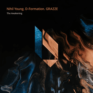 The Awakening by Nihil Young