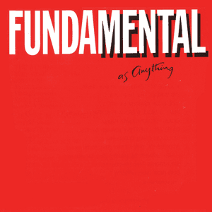 Fundamental As Anything by Mental as Anything