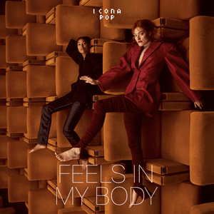 Feels In My Body by Icona Pop