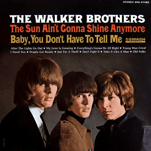 The Sun Ain't Gonna Shine Anymore by The Walker Brothers