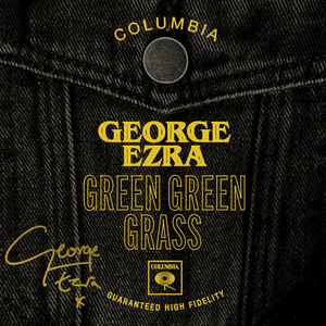 Green Green Grass by George Ezra