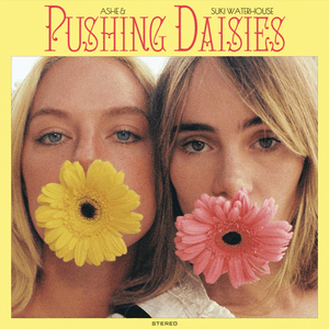 Pushing Daisies by Ashe