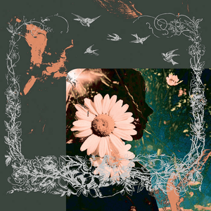 Verano by Daze