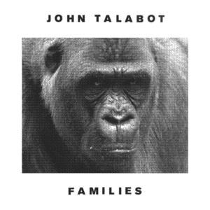 Families by John Talabot