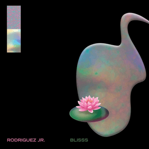 Blisss by Rodriguez Jr.