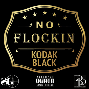 No Flockin' by Kodak Black