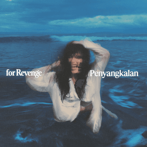 Penyangkalan by for Revenge
