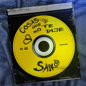 COSAS QUE NO TE DIJE by Saiko