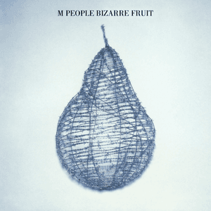 Bizarre Fruit by M People