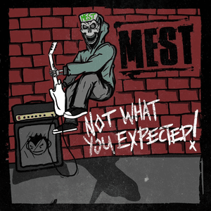 Not What You Expected by Mets