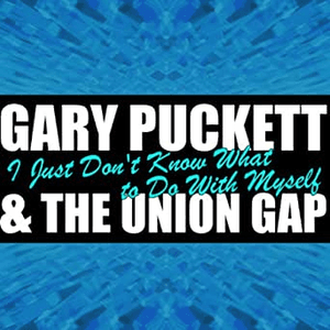 I Just Don't Know What to Do With Myself by Gary Puckett & the Union Gap