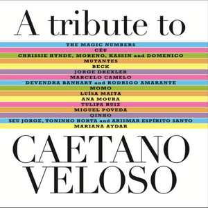 A Tribute To Caetano Veloso by MOMO