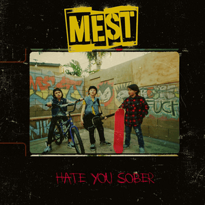 Hate You Sober (feat. Spencer Charnas of Ice Nine Kills) by Mets