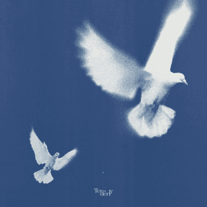 Tenderly by leo