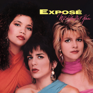What You Don't Know (Expanded Edition) by Exposé