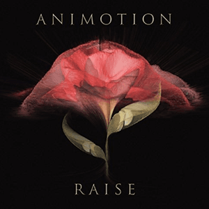 Raise Your Expectations by Animotion