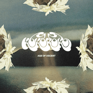 Age Of Ascent by Kokoroko