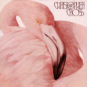 Another Page by Christopher Cross
