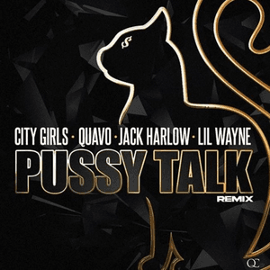 Pussy Talk (feat. Quavo, Lil Wayne, & Jack Harlow) [Remix] by City Girls