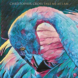 Take Me As I Am by Christopher Cross