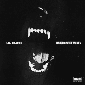 Hanging With Wolves by Lil Durk