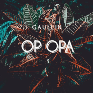 Op Opa by Gaullin